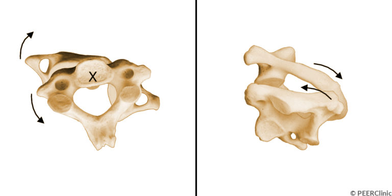 Figure 23 | PEERClinic
